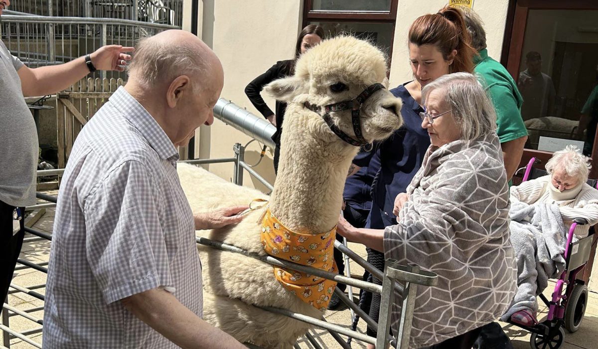 353416779_266656222537041_4472995795241684973_n