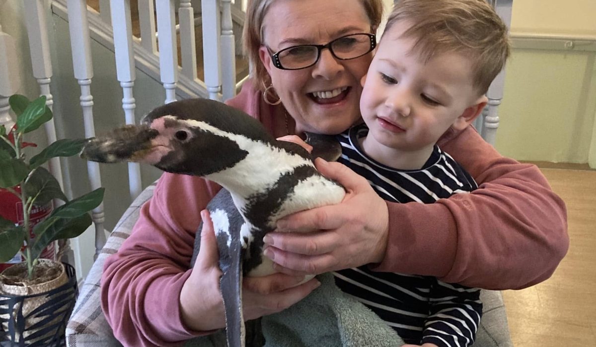 476019173_1954831041706676_2323032709952278376_n 476019173_1954831041706676_2323032709952278376_n